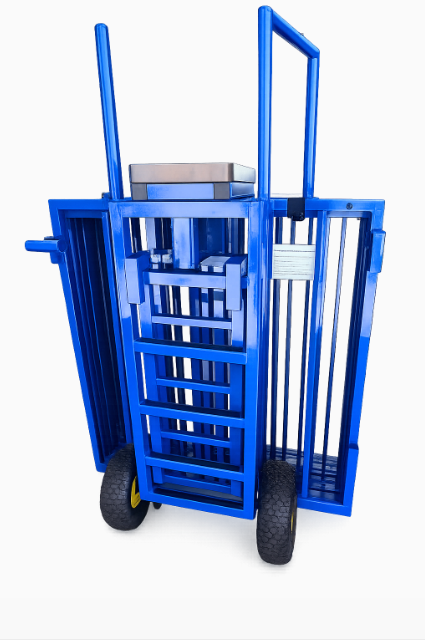 Commercial Dunk Tank Built for Rentals, Events & Fundraisers